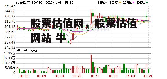 股票估值网，股票估值网站 牛