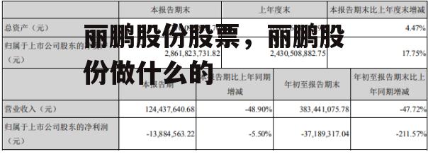 丽鹏股份股票，丽鹏股份做什么的