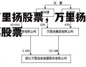 万里扬股票，万里扬股票股票