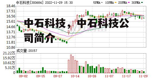 中石科技，中石科技公司简介