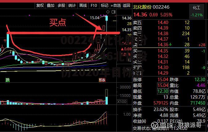 002246北化股份，002246北化股份2020年目标价