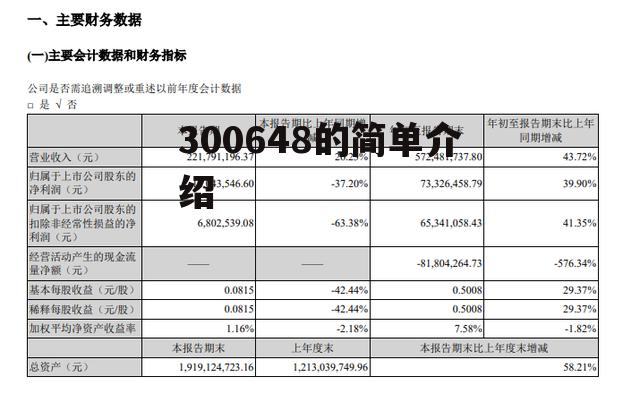 300648的简单介绍