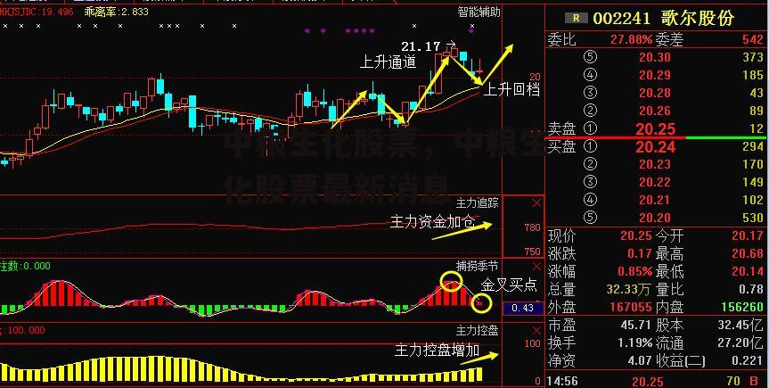 中粮生化股票，中粮生化股票最新消息