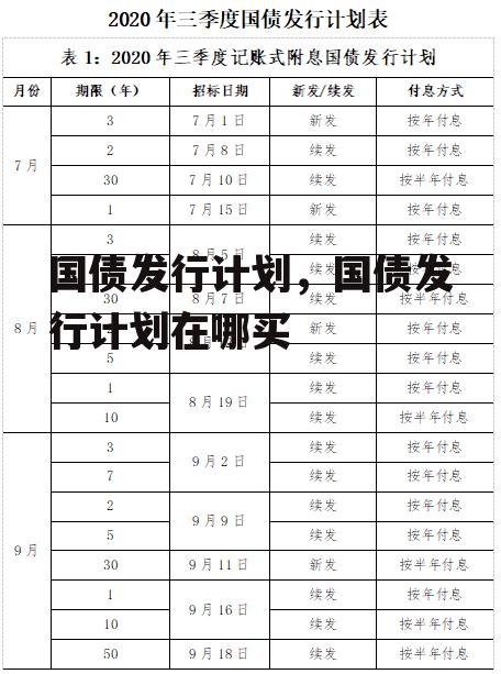 国债发行计划，国债发行计划在哪买