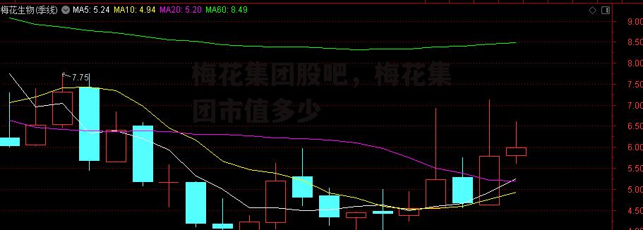 梅花集团股吧，梅花集团市值多少