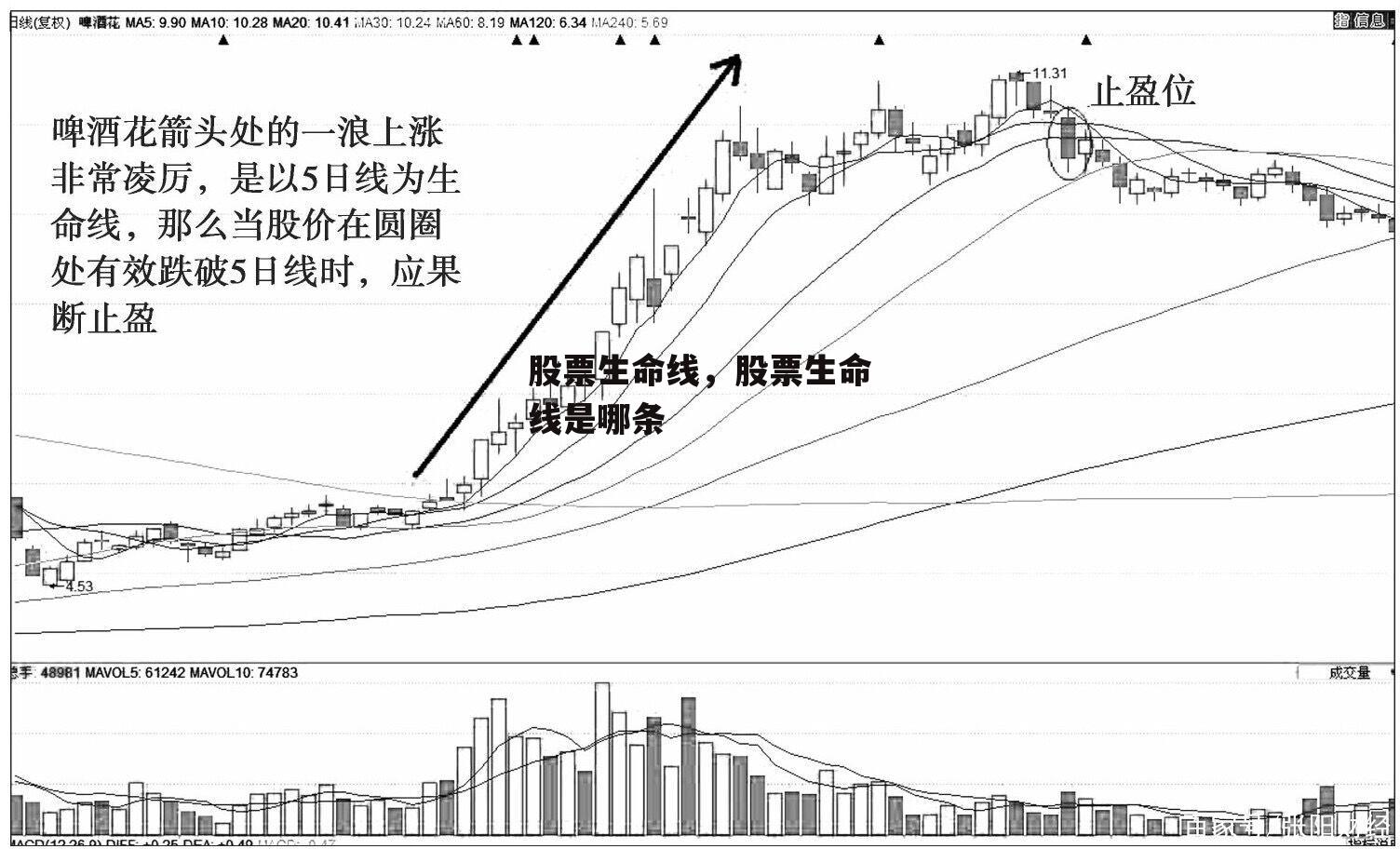 股票生命线，股票生命线是哪条