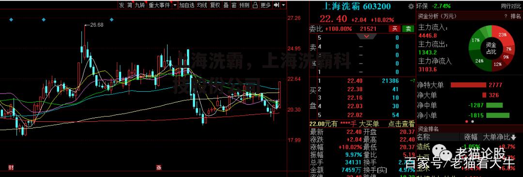 上海洗霸，上海洗霸科技股份公司