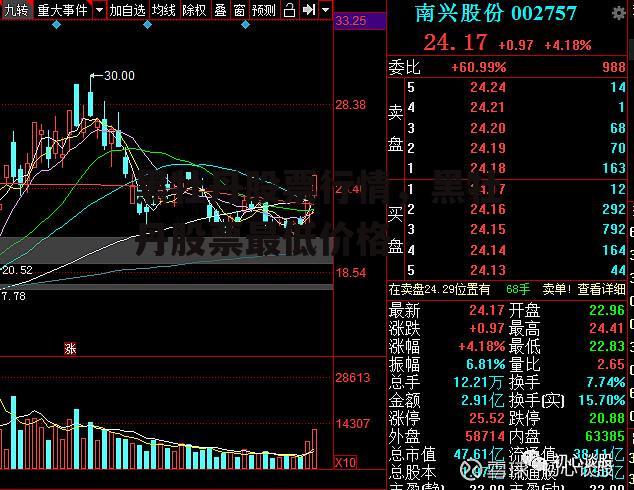 黑牡丹股票行情，黑牡丹股票最低价格