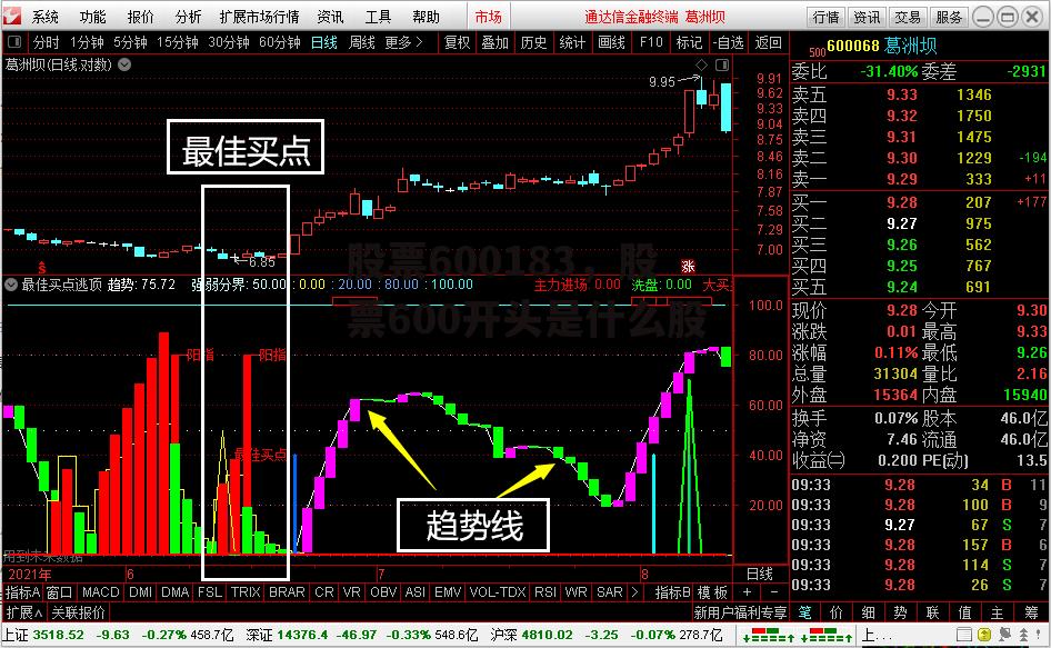 股票600183，股票600开头是什么股