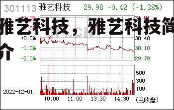 雅艺科技，雅艺科技简介