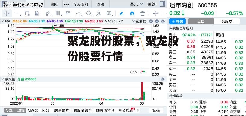 聚龙股份股票，聚龙股份股票行情