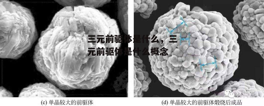 三元前驱体是什么，三元前驱体是什么概念