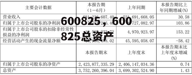 600825，600825总资产