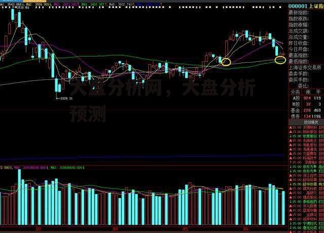 大盘分析网，大盘分析预测