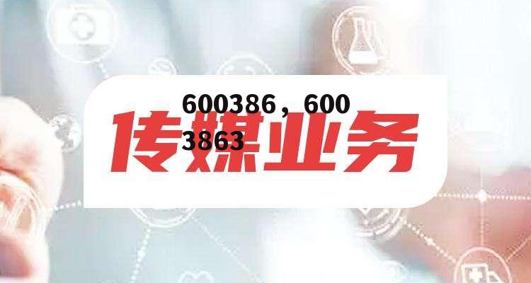 600386，6003863