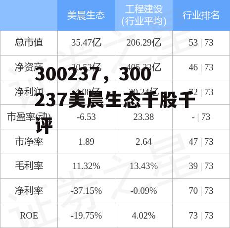 300237，300237美晨生态千股千评