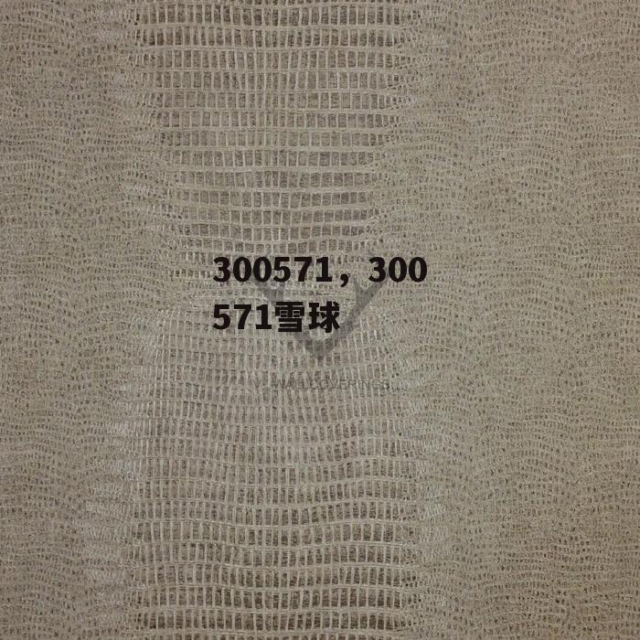 300571，300571雪球