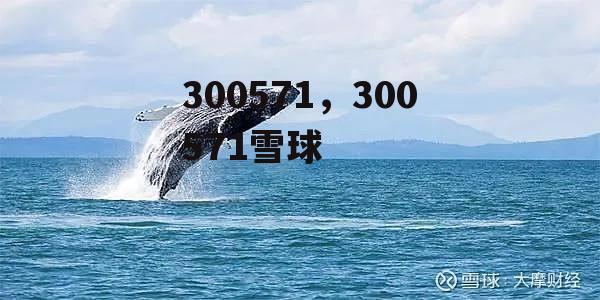 300571，300571雪球