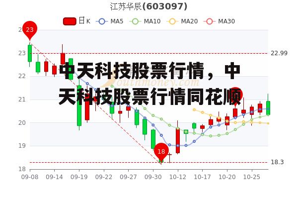 中天科技股票行情，中天科技股票行情同花顺