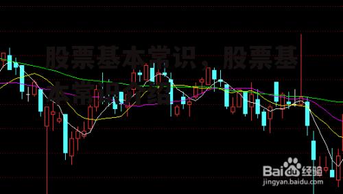 股票基本常识，股票基本常识介绍