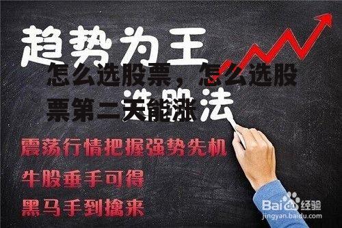 怎么选股票，怎么选股票第二天能涨