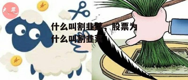 什么叫割韭菜，股票为什么叫割韭菜