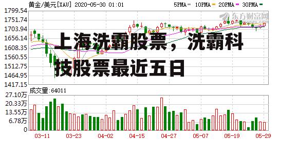 上海洗霸股票，洗霸科技股票最近五日