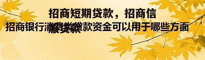 招商短期贷款，招商信服贷款