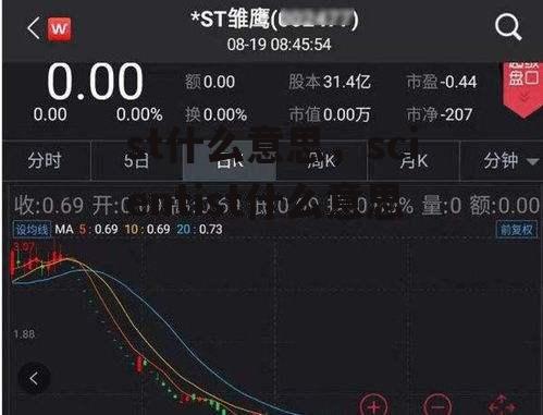 st什么意思，scientist什么意思