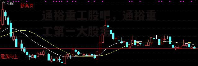 通裕重工股吧，通裕重工第一大股东