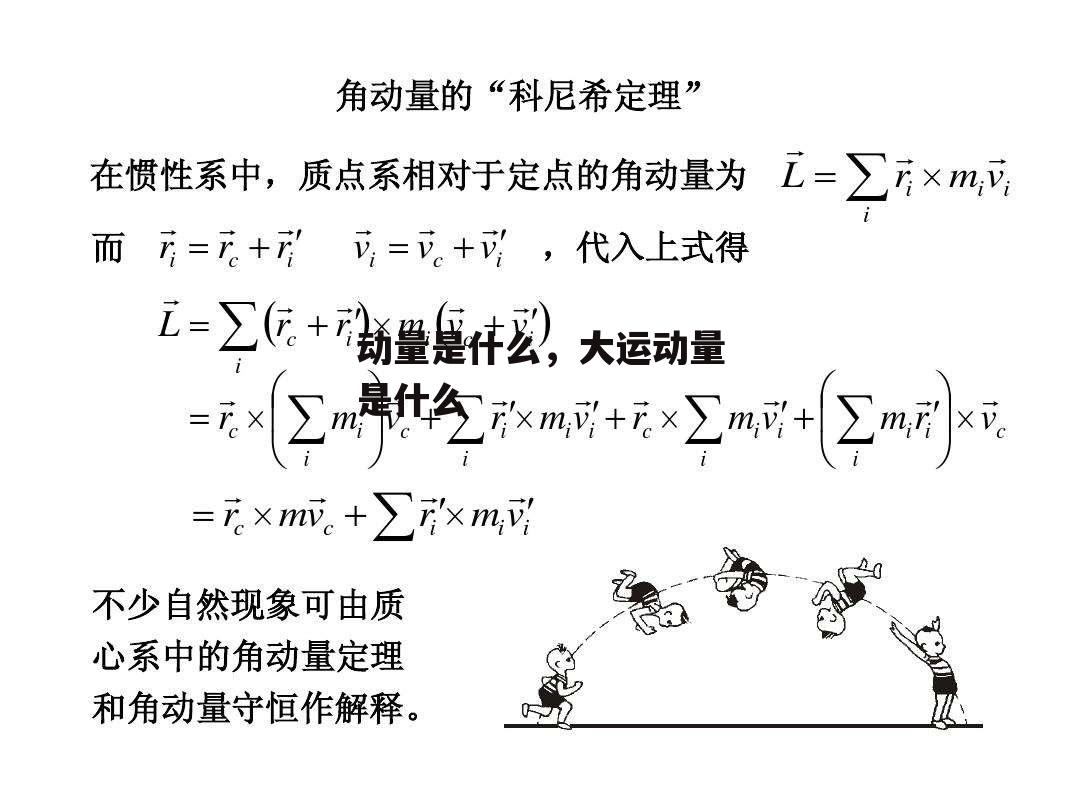 动量是什么，大运动量是什么