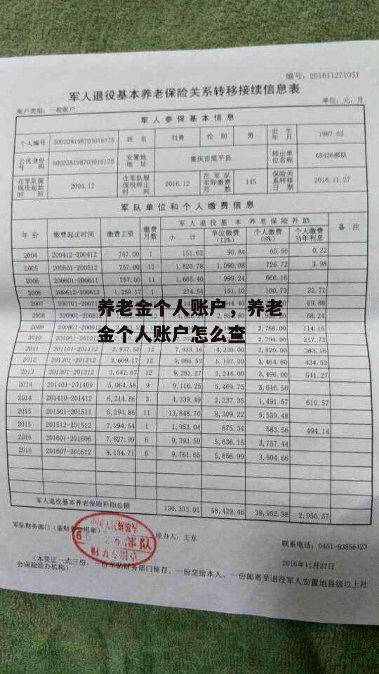 养老金个人账户，养老金个人账户怎么查