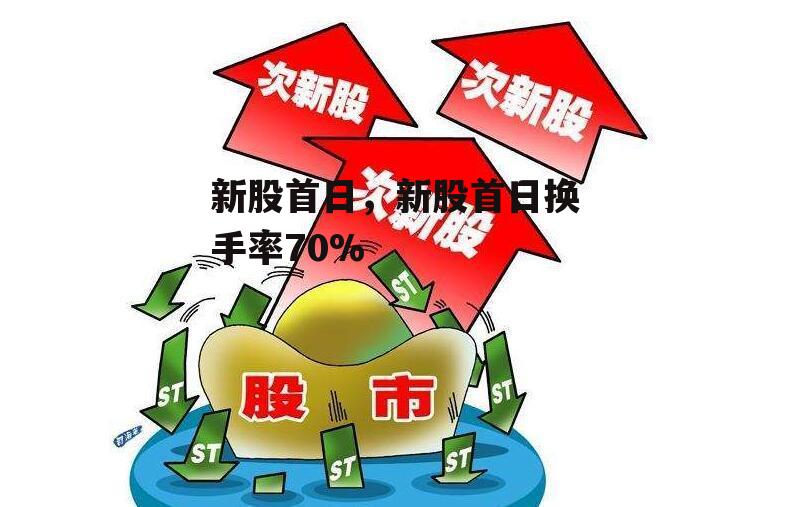 新股首日，新股首日换手率70%