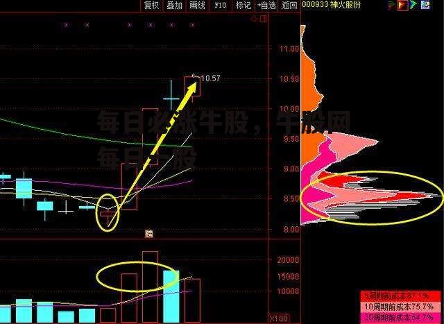 每日必涨牛股，牛股网每日一股