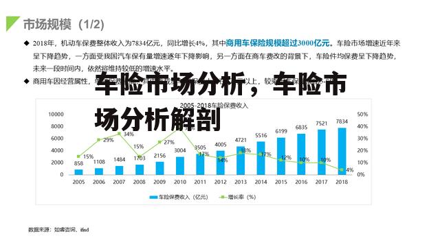 车险市场分析，车险市场分析解剖