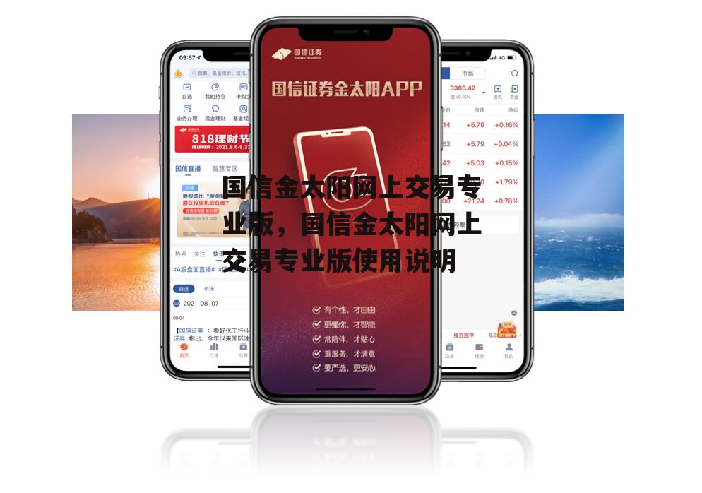 国信金太阳网上交易专业版，国信金太阳网上交易专业版使用说明