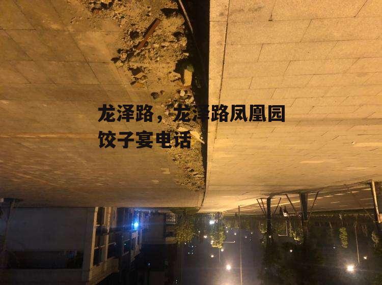 龙泽路，龙泽路凤凰园饺子宴电话