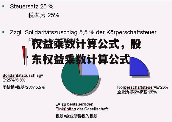 权益乘数计算公式，股东权益乘数计算公式