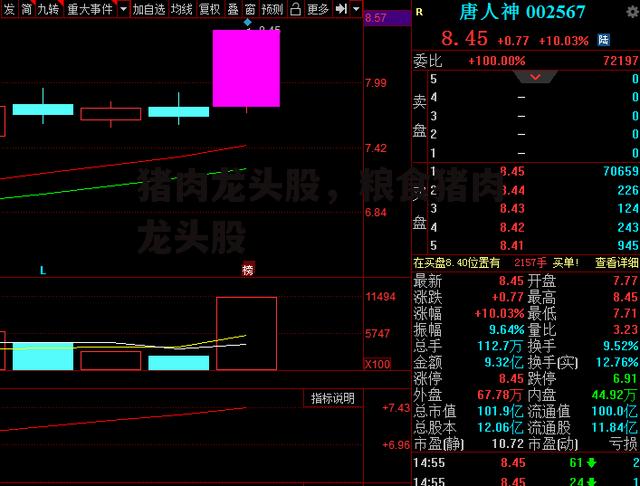 猪肉龙头股，粮食猪肉龙头股