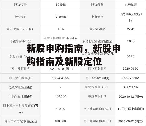 新股申购指南，新股申购指南及新股定位