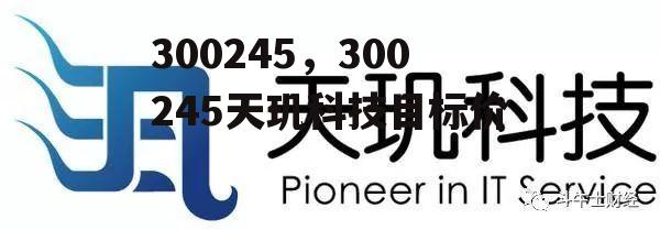 300245，300245天玑科技目标价