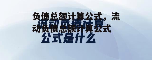 负债总额计算公式，流动负债总额计算公式