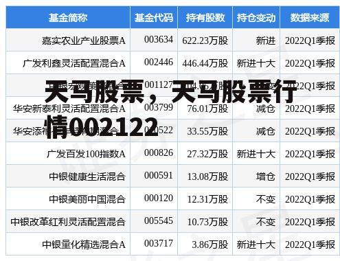 天马股票，天马股票行情002122