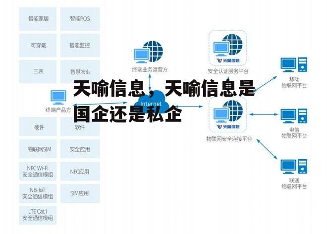 天喻信息，天喻信息是国企还是私企