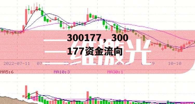 300177，300177资金流向