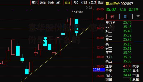 意华股份股吧，意华股份是干什么的