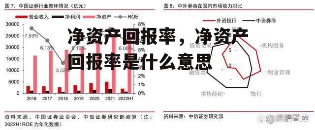 净资产回报率，净资产回报率是什么意思