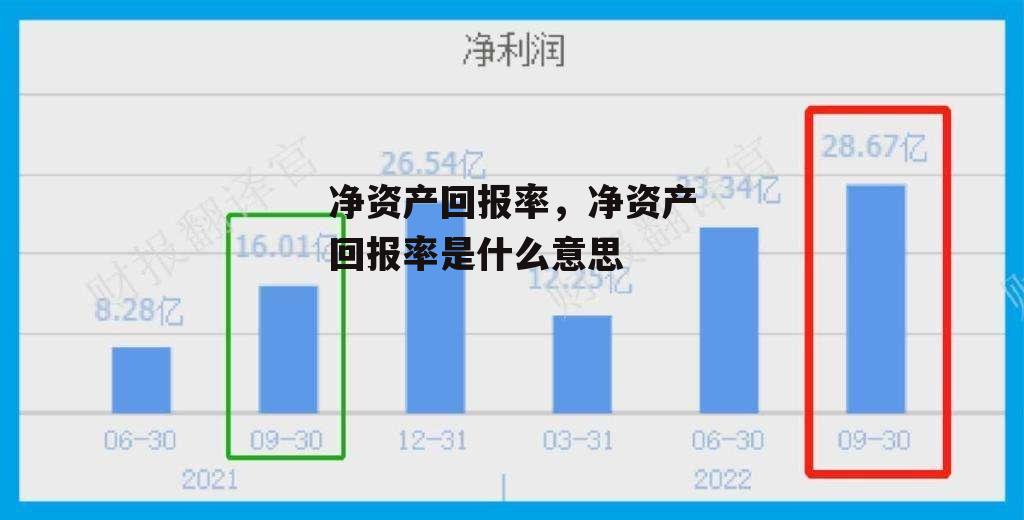 净资产回报率，净资产回报率是什么意思