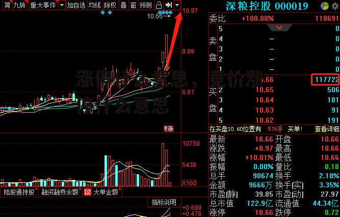 涨停什么意思，竞价涨停什么意思