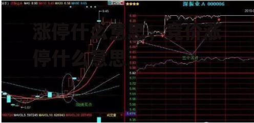 涨停什么意思，竞价涨停什么意思